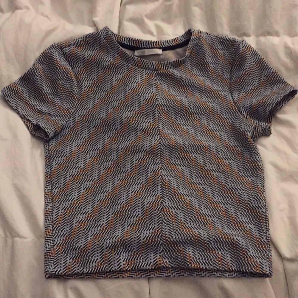 Zara collectors season crop top tee